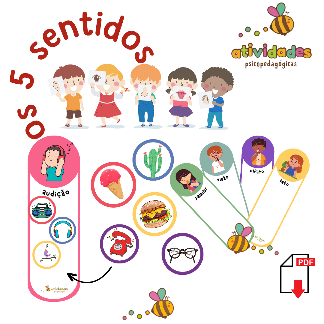 Os 5 sentidos